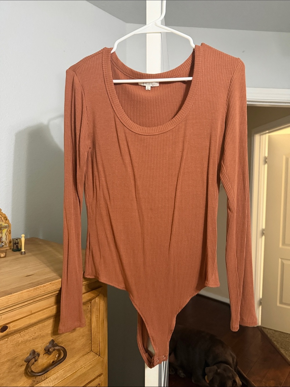 Z Supply Ribbed Long-Sleeve Scoop-Neck Bodysuit — Rusty Terracotta